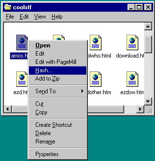 Explorer Hasher View