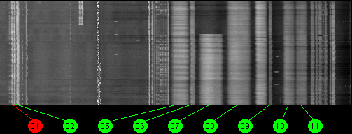 087w AMC 3 11700 MHz to 12200 MHz Horizontal