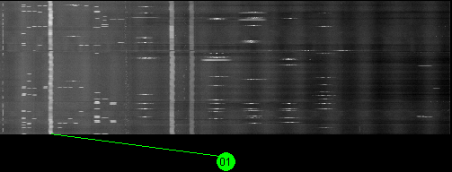 085w AMC 9 11700 MHz to 12200 MHz Horizontal