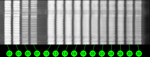 119w Broadcast 12200 MHz to 12700 MHz RHCP