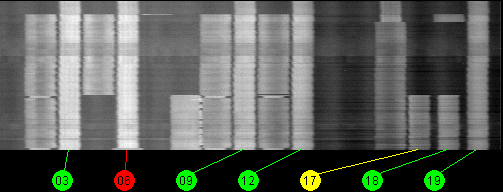 082w Broadcast 12200 MHz to 12700 MHz LHCP