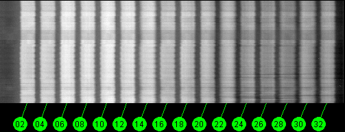 091w Broadcast 12200 MHz to 12700 MHz LHCP