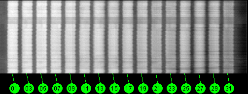 091w Broadcast 12200 MHz to 12700 MHz RHCP