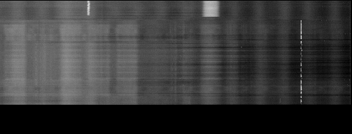 118.7w Anik E1 11700 MHz to 12200 MHz Horizontal
