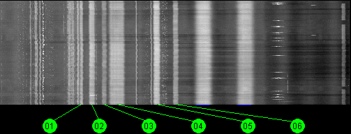111.1w Anik E2R 11700 MHz to 12200 MHz Vertical