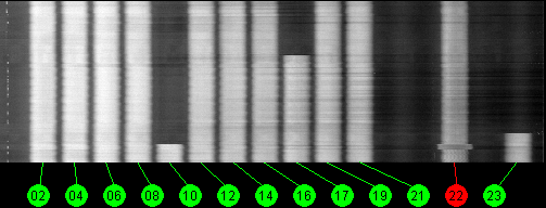 121w Echostar 9 11700 MHz to 12200 MHz Horizontal
