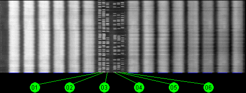 107.3w Anik F1 11700 MHz to 12200 MHz Horizontal