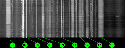 123w Galaxy 10R 11700 MHz to 12200 MHz Horizontal