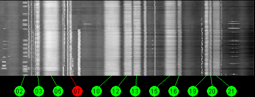 123w Galaxy 10R 11700 MHz to 12200 MHz Vertical