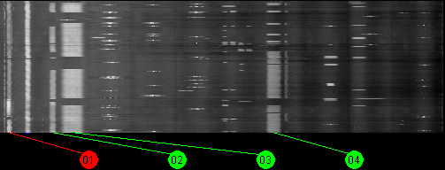 074w SBS 6 11700 MHz to 12200 MHz Horizontal