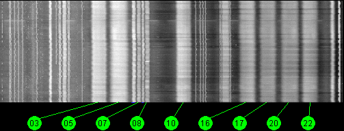 097w IA 5 11700 MHz to 12200 MHz Horizontal