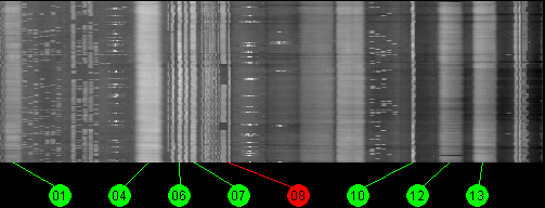 093w IA 6 11700 MHz to 12200 MHz Vertical